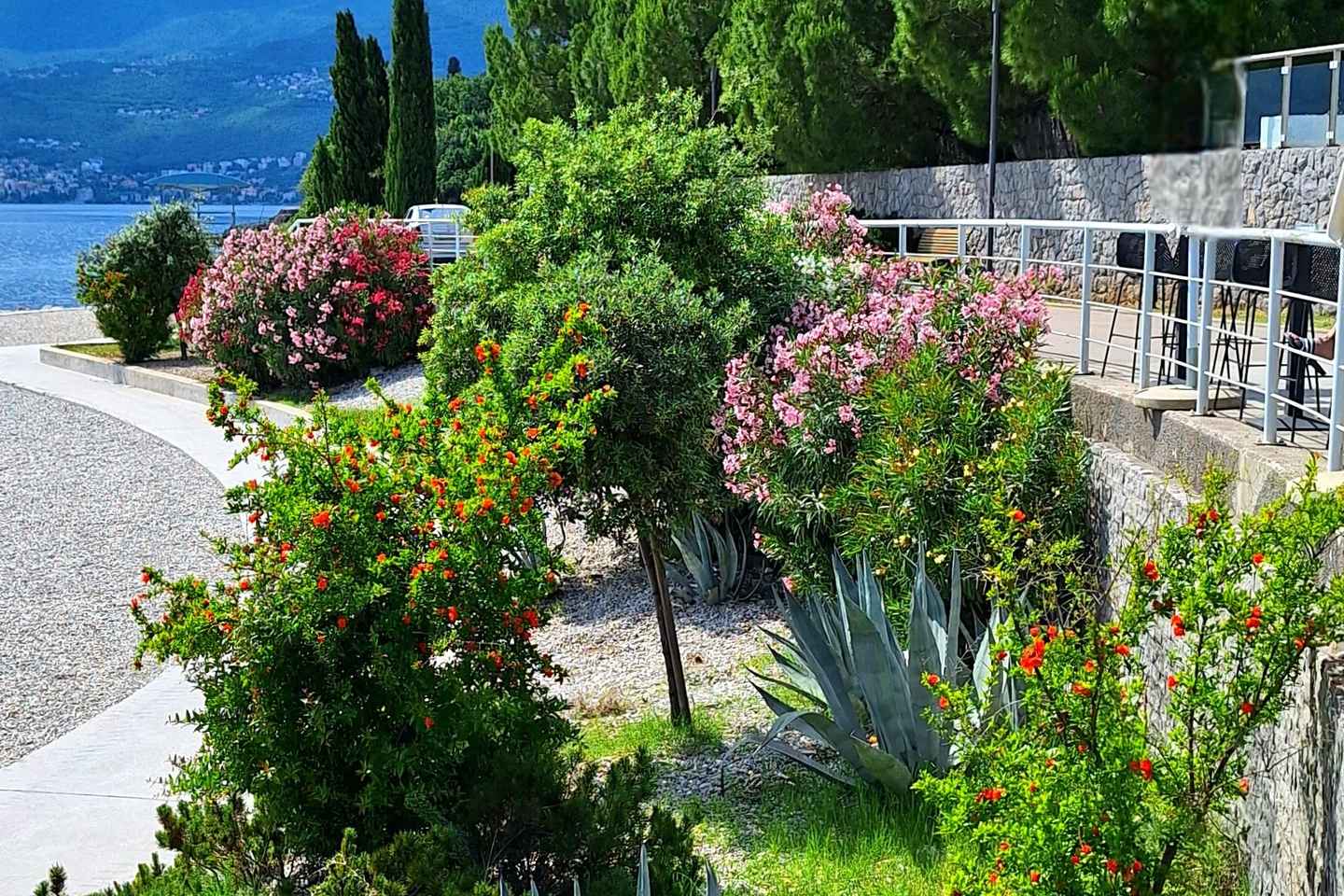 Rijeka Croatia: Come explore the amazing Croatian sea with us!