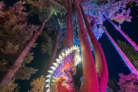 Queenstown: Whimsical Sensory Night Walk at LUMA Enchanted LUMA Enchanted - sensory illuminated walk