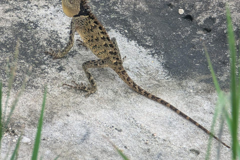 Kampot: Bokor Mountain Tour with locals Bokor Mountain Tour with an Experienced Guide