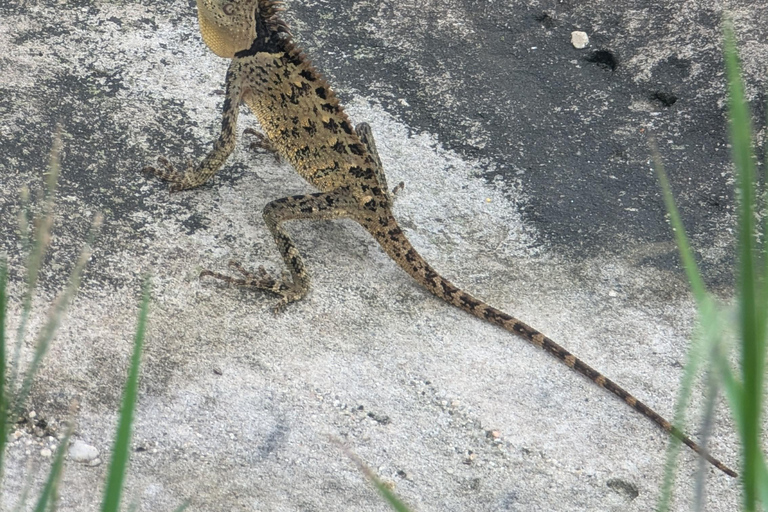 Kampot: Bokor Mountain Tour with locals Bokor Mountain Tour with an Experienced Guide