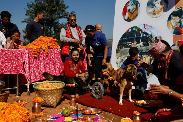 Kathmandu: Kukur Tihar Festival Tour with Local Family