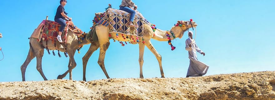 Marsa Alam : Balade à dos de chameau dans la mer et le désert