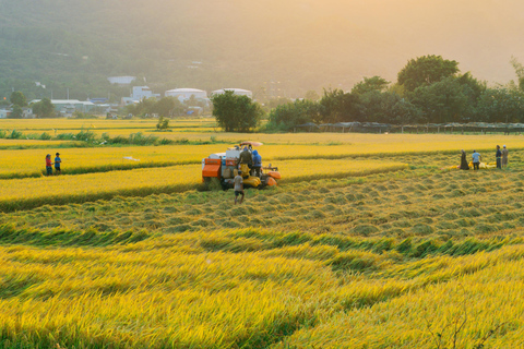 Dimbulagala Eco Trekking and Village Tour From Polonnaruwa