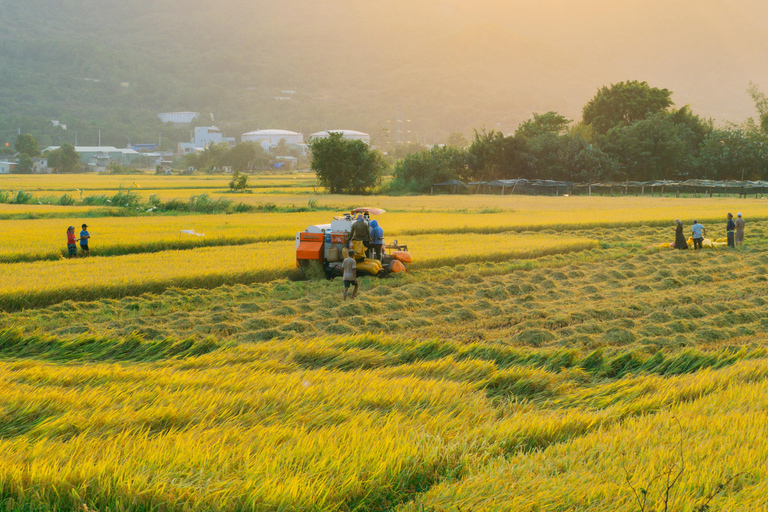 Dimbulagala Eco Trekking and Village Tour From Polonnaruwa