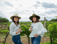 Visite privée des vins de la ville de Mexico, Vignobles de la Vallée Cachée - Hizvo
