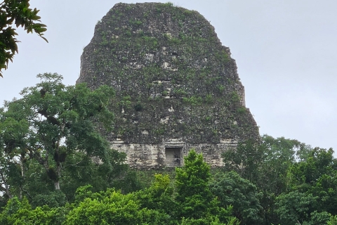 Tikal depuis Flores ou l'aéroport de Mundo MayaTikal Desde Flores o Aeropuerto Mundo Maya