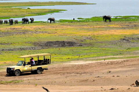 Excursión de un día a Chobe (Botsuana)