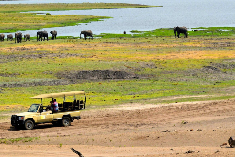 Escursione di un giorno nel Chobe (Botswana)