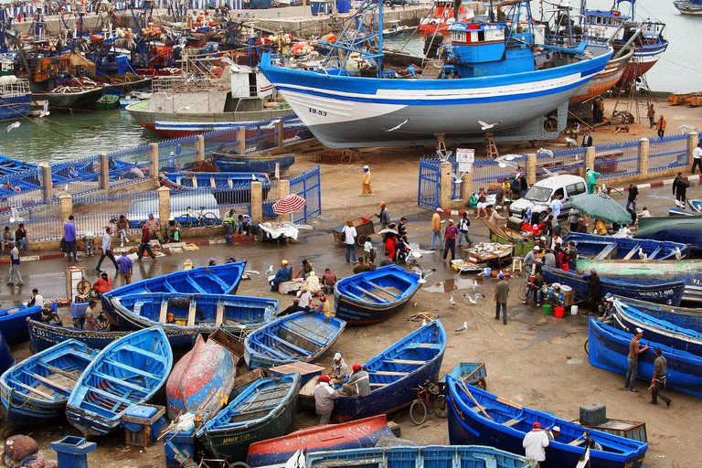 Day Trip To Essaouira From Marrakech With Guide