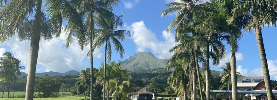 Martinique : Visite guidée du nord verdoyant de la Martinique