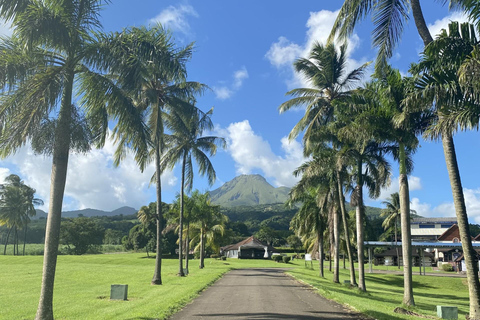 Martinique: Geführte Tour durch den grünen Norden von Martinique