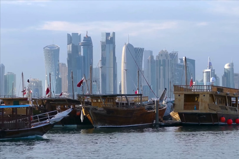 Doha City & Sea: Doubtful Sound Day Trip & Scenic Cruise Sound Day Trip & Scenic Cruise