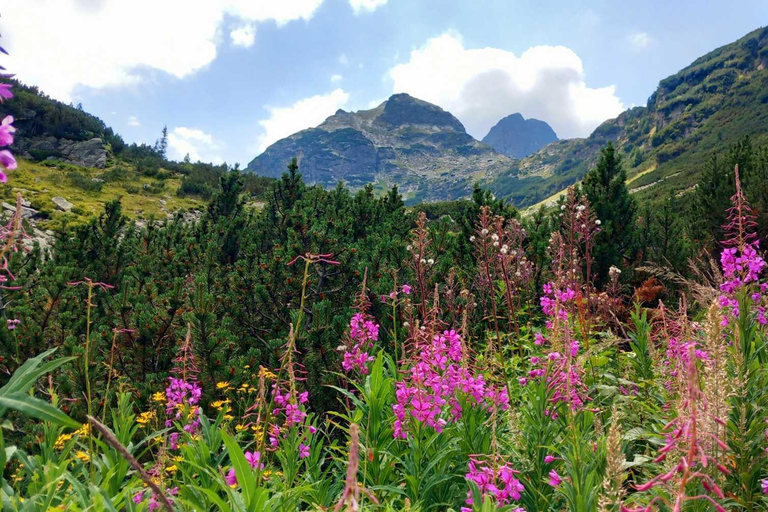 From Sofia: Rila Mountain - Easy Hike & Optional Local Lunch From Sofia: Rila Mountain - Shared Group Option