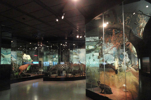Houston: Museum of Natural Science Entry & Digital Tour