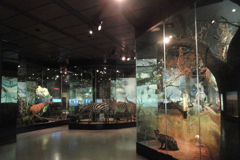 Houston: Museum of Natural Science Entry & Digital Tour