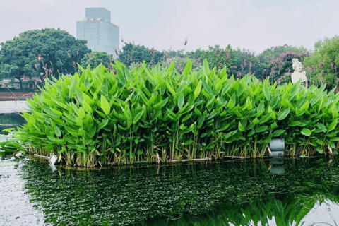 Guangzhou (Guangzhou) Lychee Bay flodkryssning