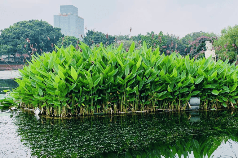 Guangzhou: Rejs po rzece Lychee Bay