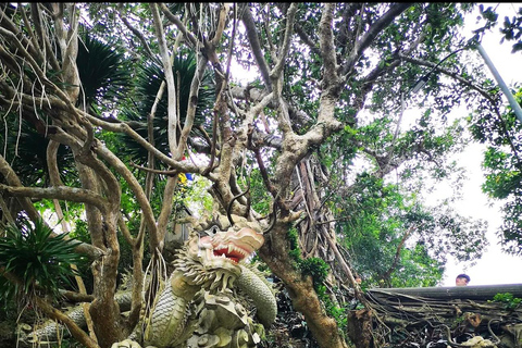 Hoi An/Da Nang : My Son Sanctuary, Marble MT & Lady Buddha Private Transport - Local Driver Only