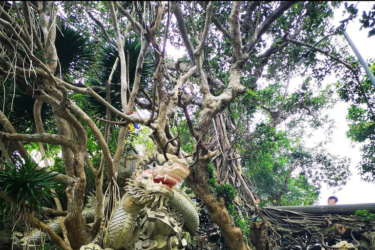 Hoi An/Da Nang : My Son Sanctuary, Marble MT & Lady Buddha Private Transport - Local Driver Only
