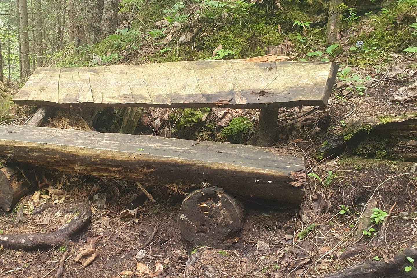 Lauterbrunnen: Private Walking Tour with an Irish Guide