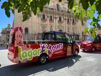 Jaén, Hop-On / Off Sightseeing Bus Tour + Olive oil tasting - Housity