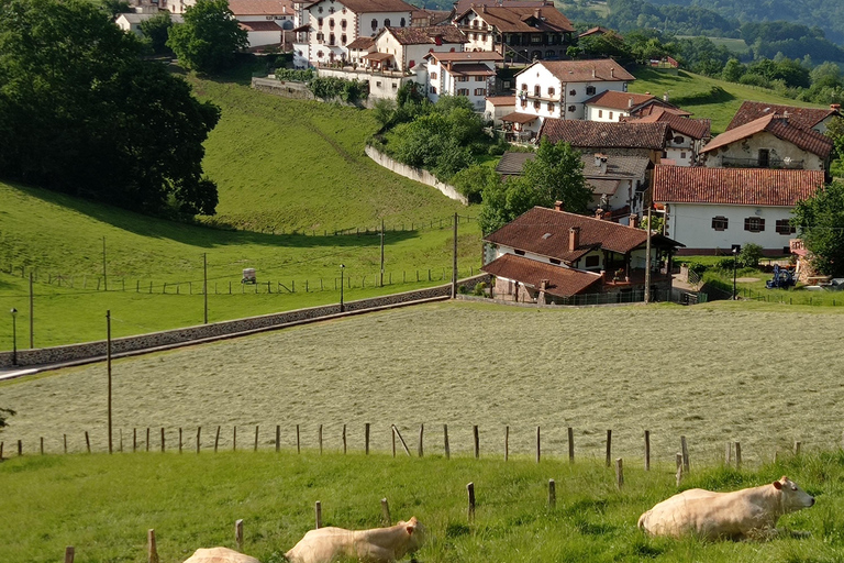 Excursion to the Baztan Valley, Zugarramurdi, and Señorío de Bertiz Excursion to the Baztan Valley, Zugarramurdi, and the Señorío de Bertiz