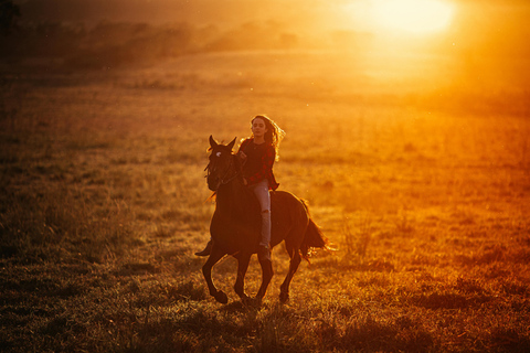 Fort Lauderdale: Private Horse Ranch Photoshoot Experience Private Horse Ranch Photoshoot Experience (2 Hours)