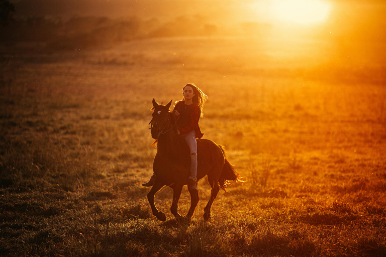 Fort Lauderdale: Private Horse Ranch Photoshoot Experience Private Horse Ranch Photoshoot Experience (2 Hours)