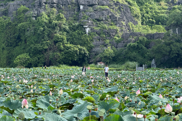 From Hanoi: Ninh Binh & Halong Bay 2-Day Tour with Cruise