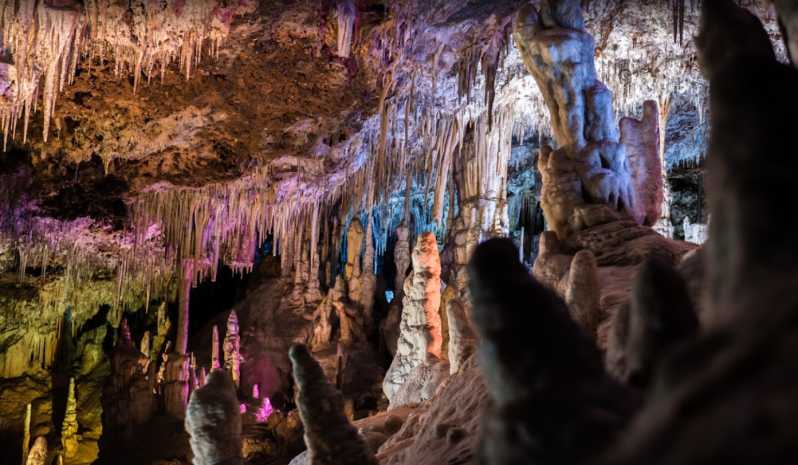 Майорка: однодневный тур в пещеры Амс и Динозавроленд по желанию