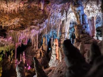 Mallorca: Dagsutflykt till Cuevas dels Hams och Dinosaurieland (tillval)