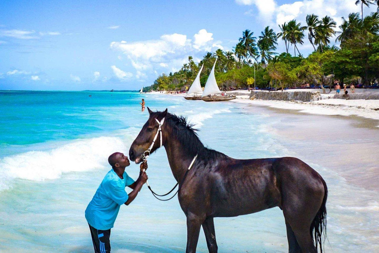 Zanzibar: Swimming with Horses and Ride in Ocean