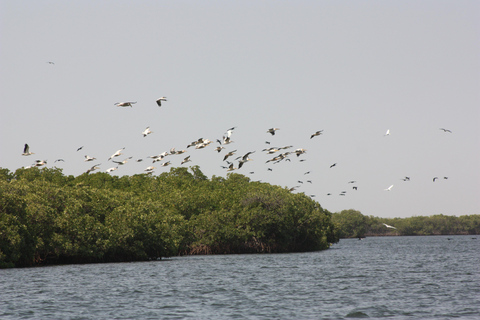 Saloum Delta: 3 days of adventure in the middle of nature, camping on a desert island Saloum Delta: Camping and Adventure