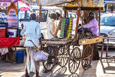 Jaipur: Privat heldags sightseeingtur i staden med guideRundtur med guide