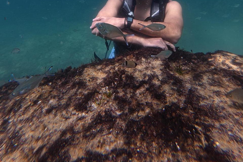 Mahdia: Guided Medina Tour and Scuba Diving Experience
