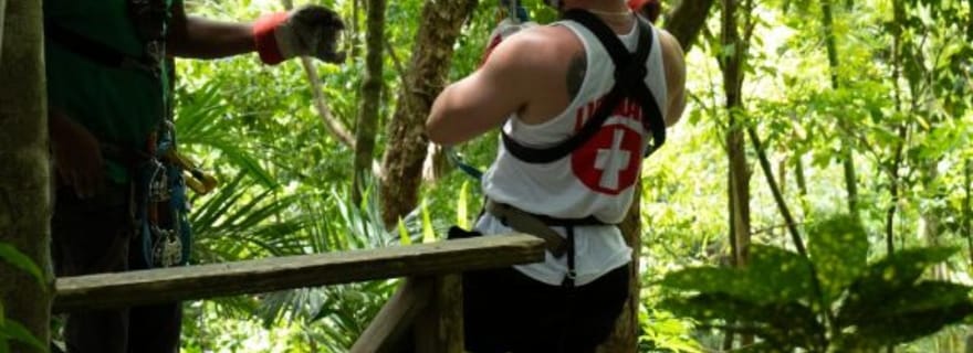 Sainte-Lucie : Safari Jeep et aventure en zipline