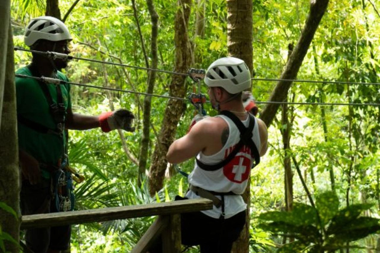 Sainte-Lucie : Safari Jeep et aventure en zipline