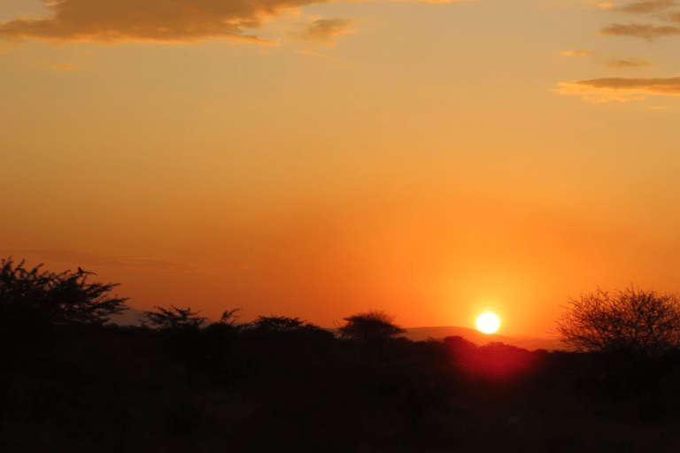 From Addis Ababa: 3-Day Awash Game Drive Safari Tour 3 Days Awash NP Game drive Safrai Tour