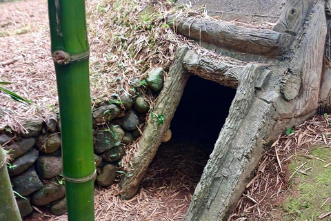 Hue: DMZ & Vinh Moc Tunnels to Phong Nha Cave Day Trip Private Tour/ Flexible Time/ Private Guide