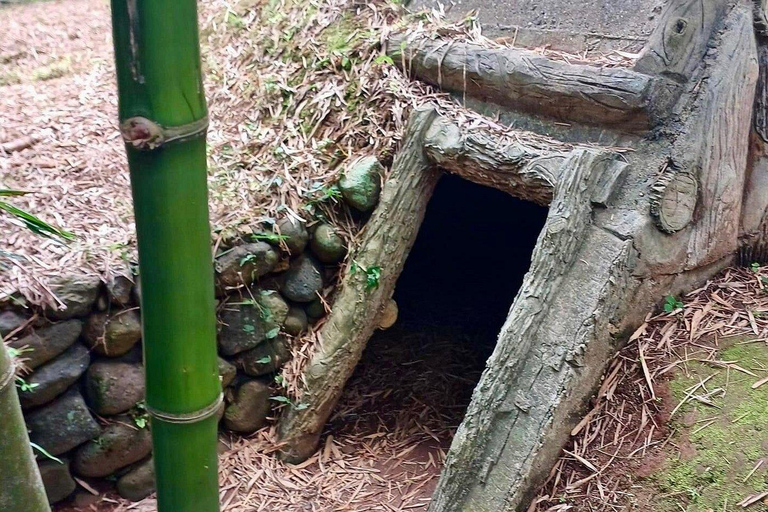 Hue: DMZ & Vinh Moc Tunnels to Phong Nha Cave Day Trip Private Tour/ Flexible Time/ Private Guide