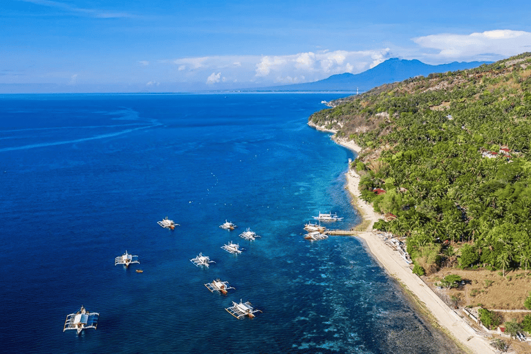 Cebu : Requins-baleines, chutes de Tumalog et singes en petit groupe