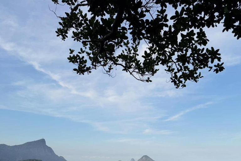 Rio de Janeiro: Private Rocinha Tour by Two Local Cousins