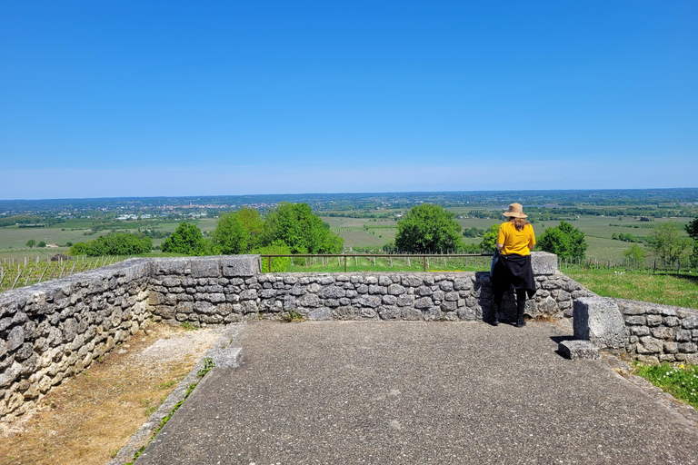 Desde Burdeos: Tour privado a Monbazillac (castillo, vino y gastronomía en Dordoña)Desde Burdeos: tour privado a Monbazillac (castillo, vino y gastronomía en Dordoña)