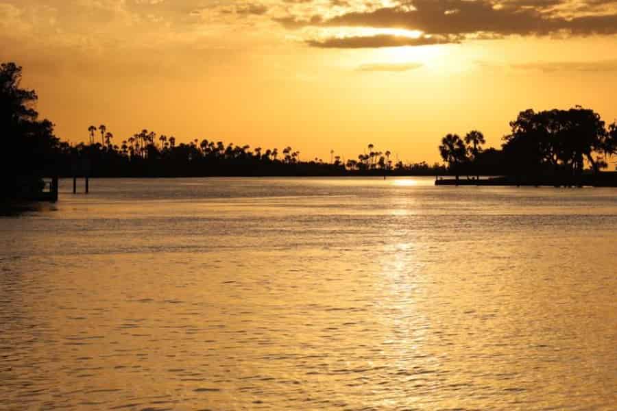 Crystal River: Bootstour mit Naturführer. Foto: GetYourGuide