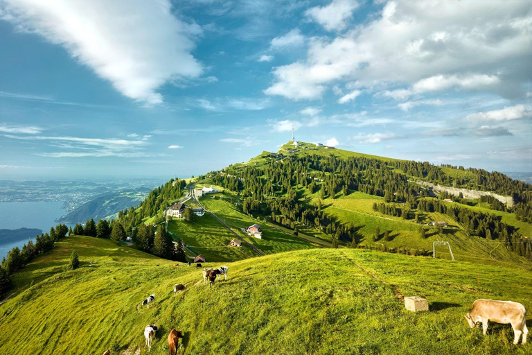 Zurych: Dzień na górze Rigi i kolejka linowa, pociąg i rejs w Lucernie