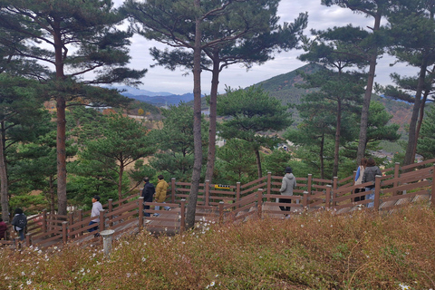 Retiro de bem-estar anti-envelhecimento: de Busan a Sancheong