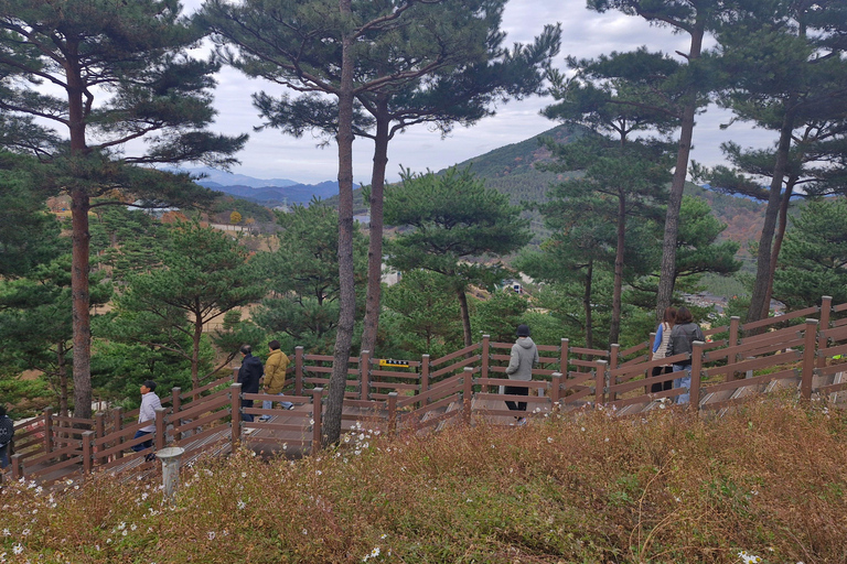 Retiro de bem-estar anti-envelhecimento: de Busan a Sancheong