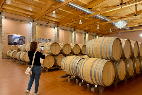 From Madrid to Castilla & León: Hidden Vineyards and Towns