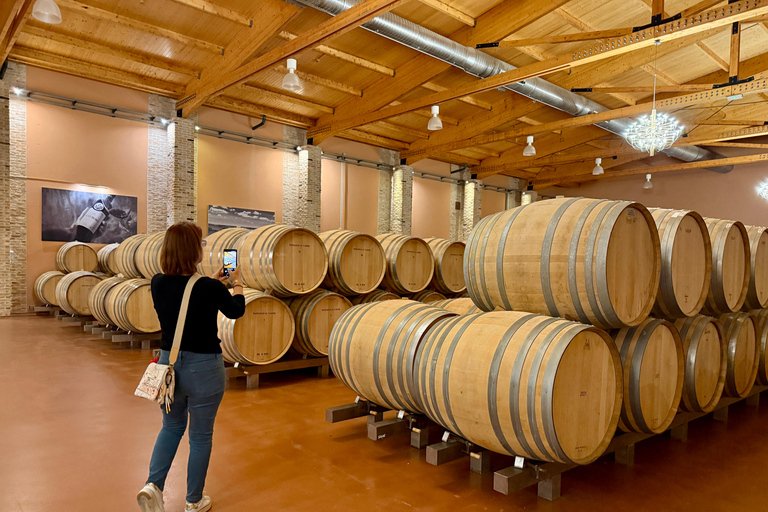 From Madrid to Castilla & León: Hidden Vineyards and Towns