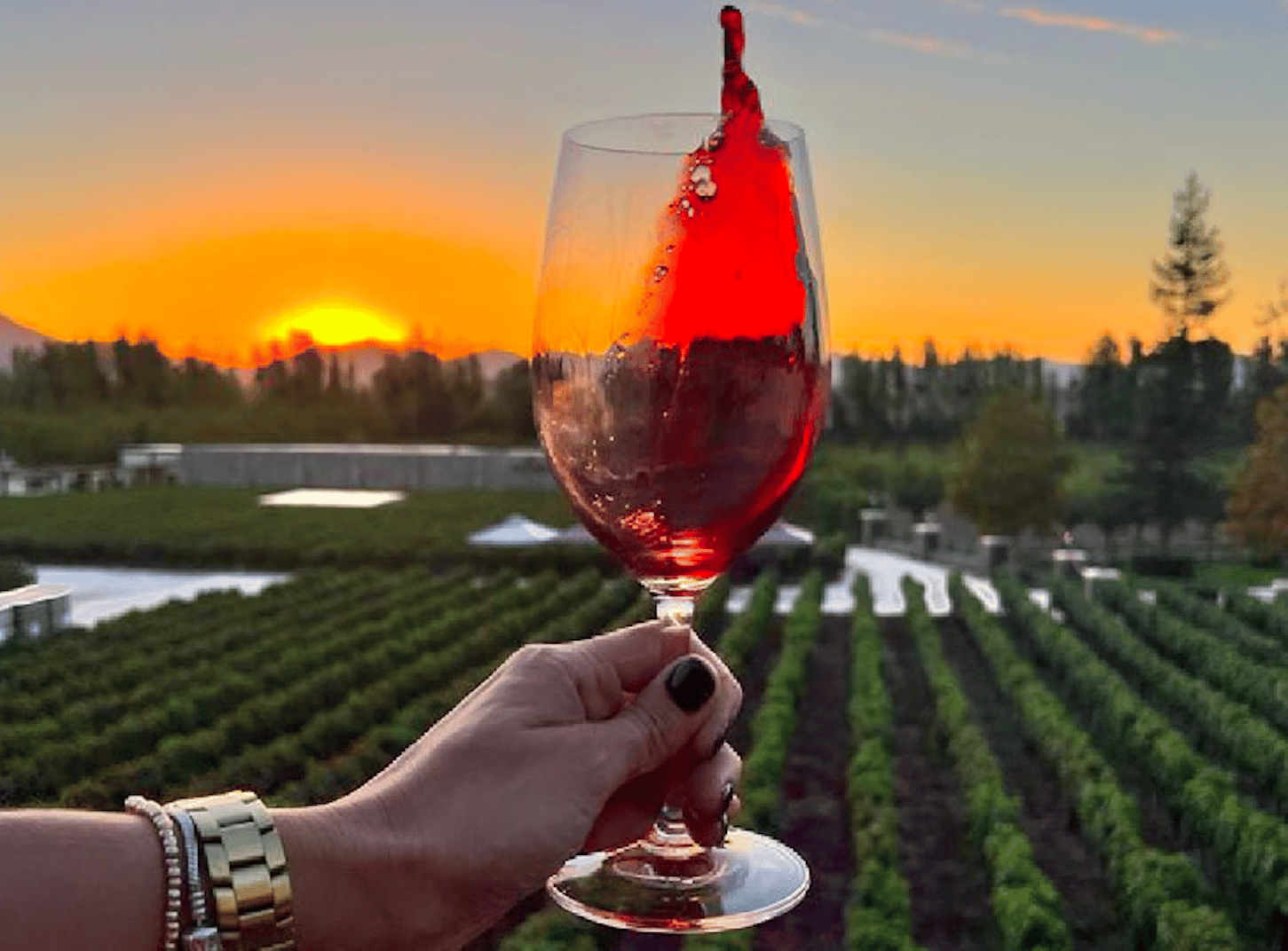 Alyan Familie Sonnenuntergang Weingut